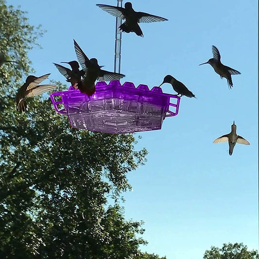 Ant Proof Hanging Hummingbird Feeder With Perch