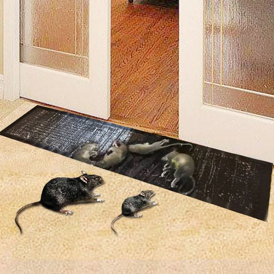 Large Non-Toxic Glue Traps 10 Pack