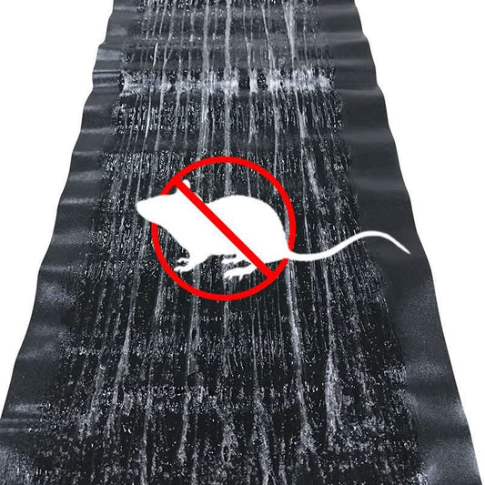 Large Non-Toxic Glue Traps 10 Pack