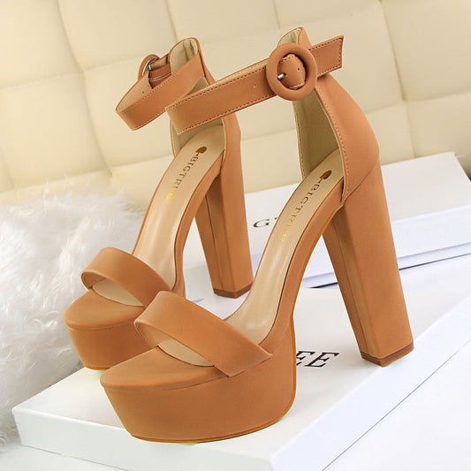 Women's Platform Block Heel Ankle Strap Sandals