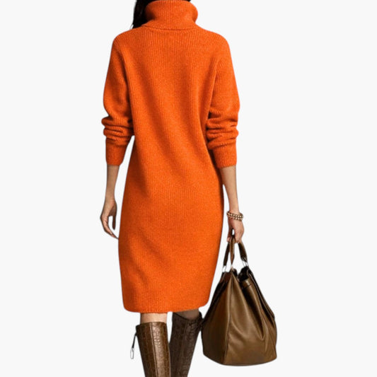 Elaris | Long Sleeve High Neck Midi Dress