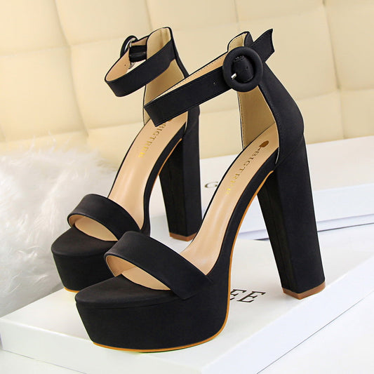 Women's Platform Block Heel Ankle Strap Sandals