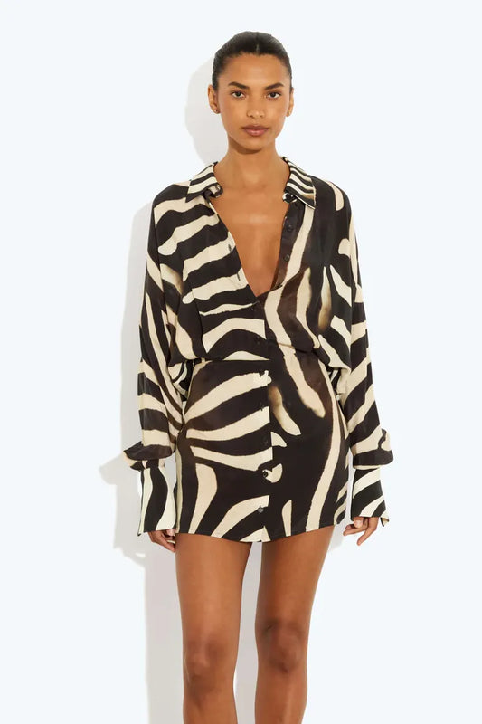 Women's Zebra Print Long Sleeve Mini Dress