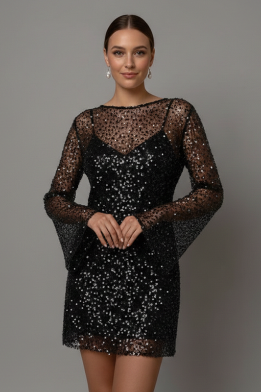 Sheer Mesh Overlay Long Sleeve Layered Mini Dress