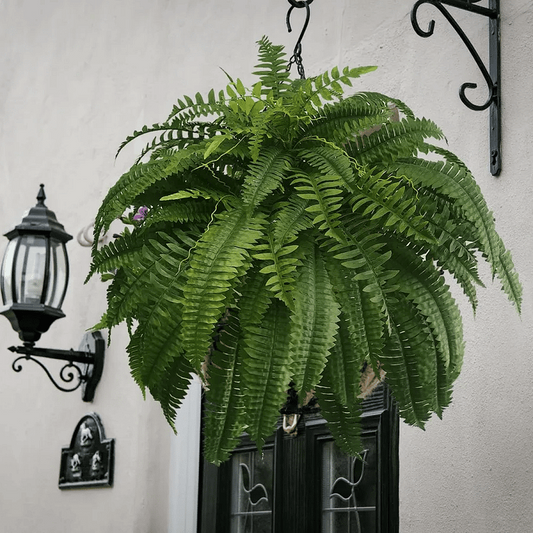 UV Resistant Artificial Boston Fern Outdoor