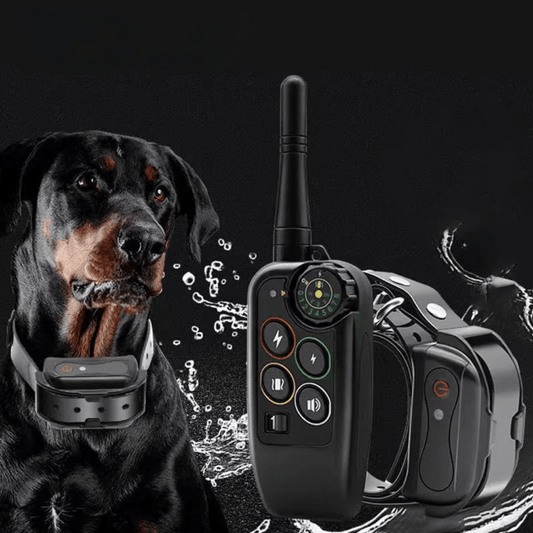Long Range Waterproof Dog Training Collar and Remote Set