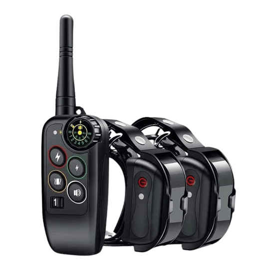 Long Range Waterproof Dog Training Collar and Remote Set